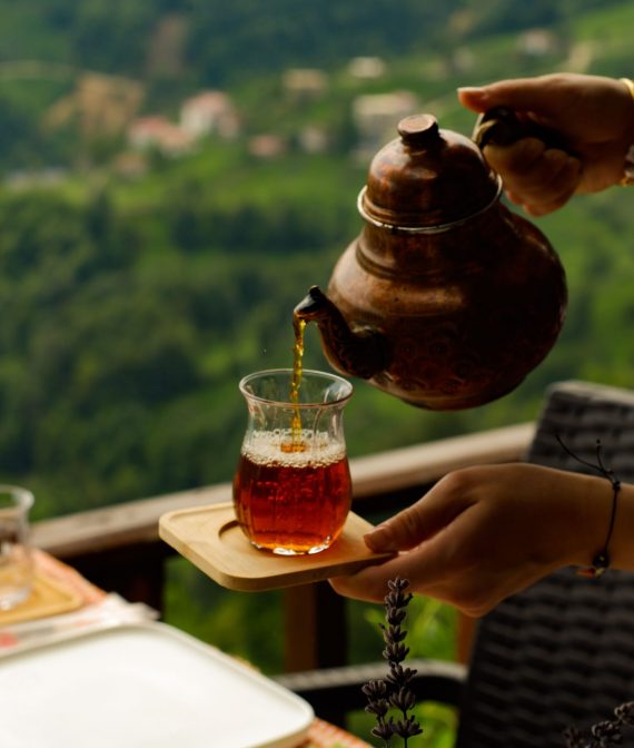 pexels-beyzaa-yurtkuran-279977530-18617044